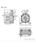 SANSO pompa PDH-E 054 IT3 12V Attacchi filettati